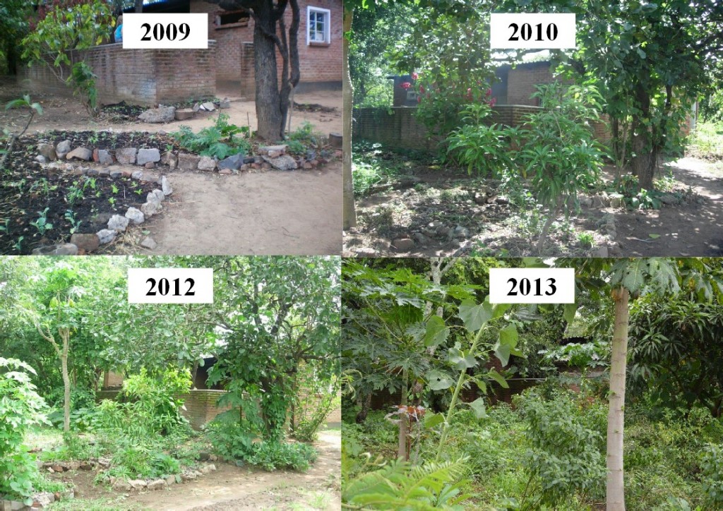 The Evolution Of A Permaculture Centerfrom Natures Gift To Kusamala