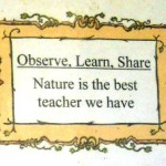Observe Learn Share