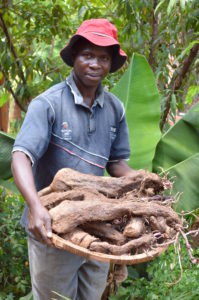 Never Ending Food's Permaculture Manager, Peter Kaniye, holding a 21.8 kg local yam dug out of the ground in the midst of Malawi's 'hungry season'.